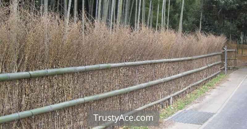 Cottage Garden Fence Ideas With Brushwood