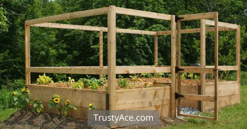 Vegetable Garden Garden Fence Ideas