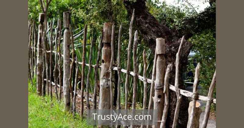 Vertical Garden Fence Ideas