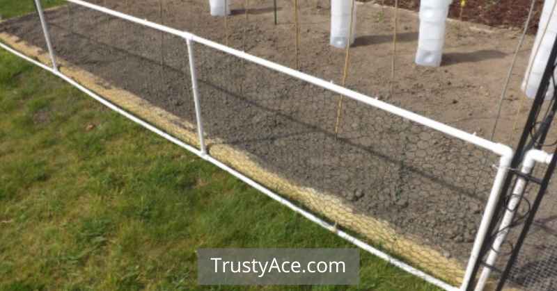 Garden Fence Ideas Chicken Wire