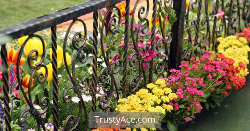 Wrought Iron Garden Fence Ideas