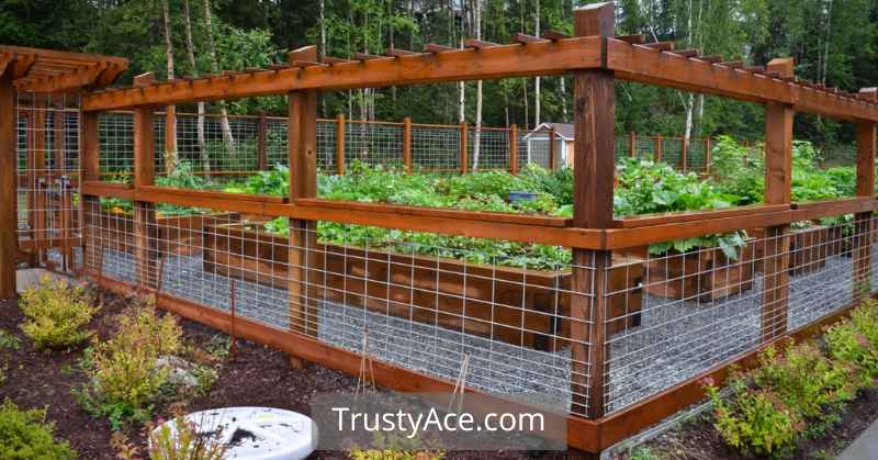 Veggie Garden Fence Ideas