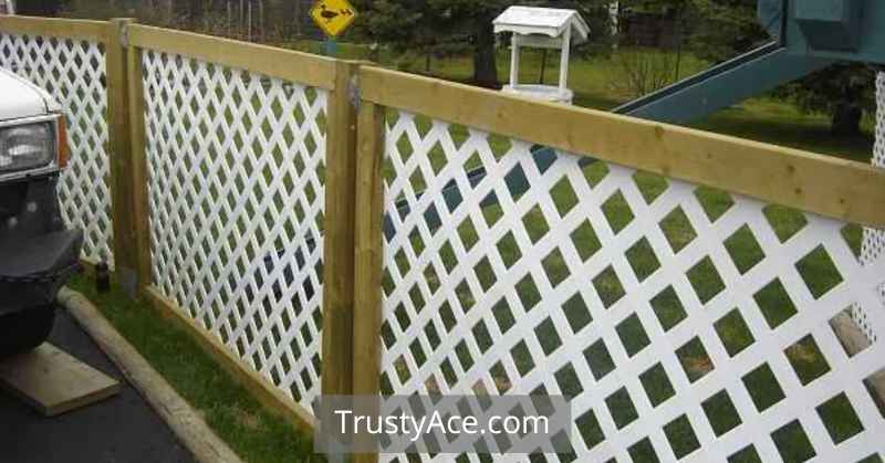 Lattice Garden Fence Ideas