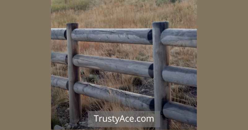 Cool Garden Fence Ideas