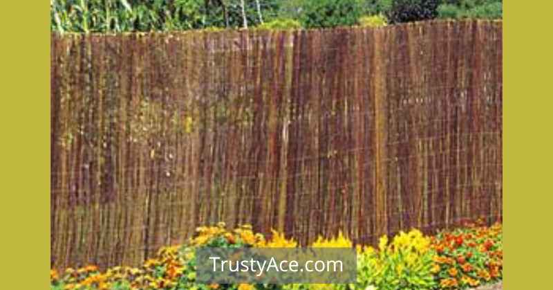 Back Garden Fence Ideas