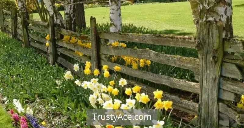 Garden Fence Ideas For Bottom Of Garden