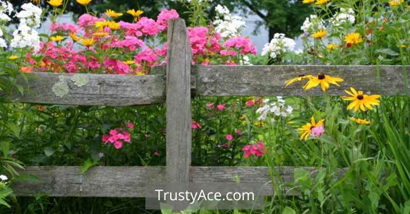 Bottom Of Garden Garden Fence Ideas