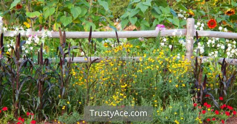 Border Garden Fence Ideas