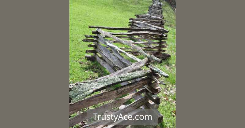 Unique Garden Fence Ideas