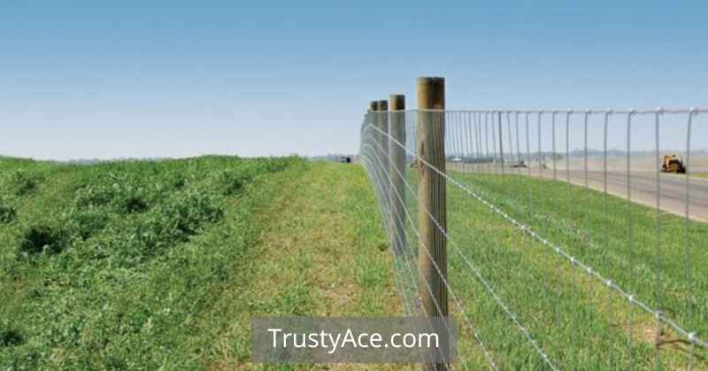 Wire Garden Fence Ideas