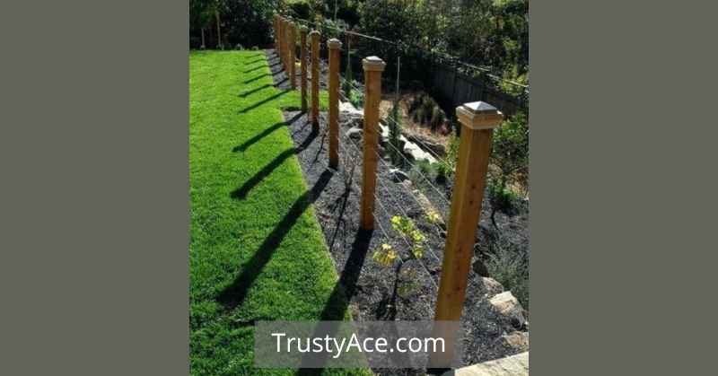 Garden Fence Ideas With Wire