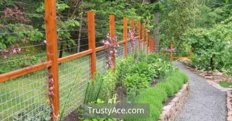 Wire Garden Fence