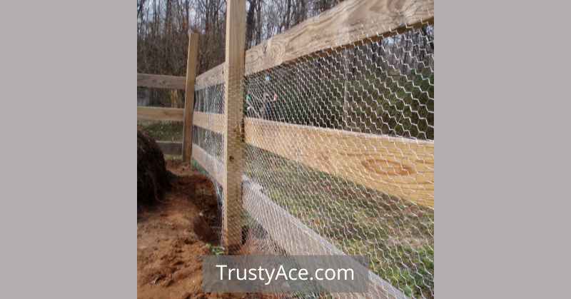 Ideas For Chicken Wire Garden Fence