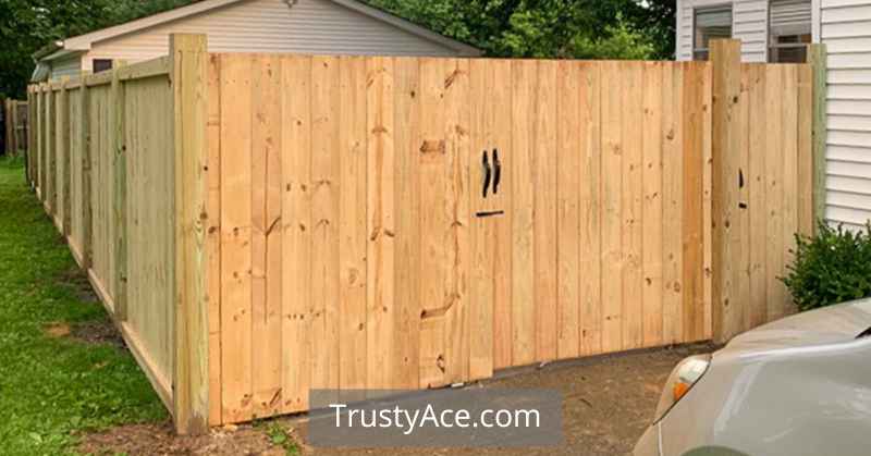 Cheap Garden Fence Ideas