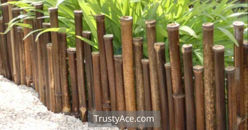 Bamboo Edging Natural Landscape Border Ideas