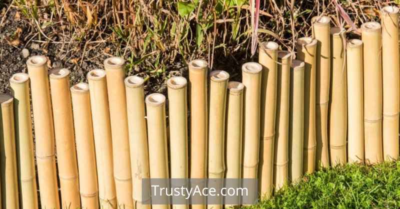 Natural Landscape Border Ideas Bamboo