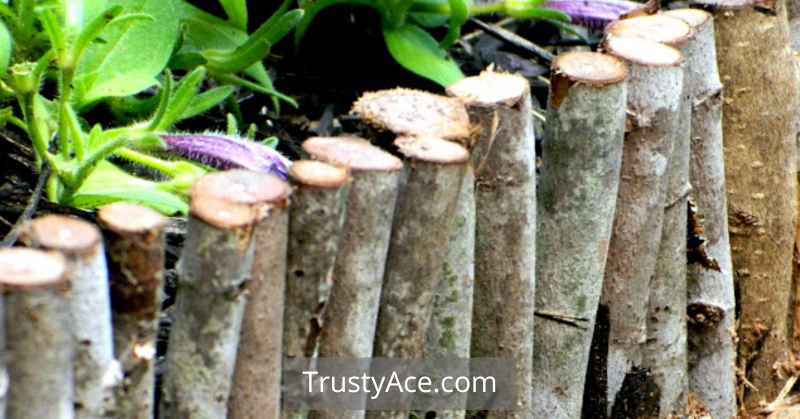 Branches Landscape Edging Border Ideas