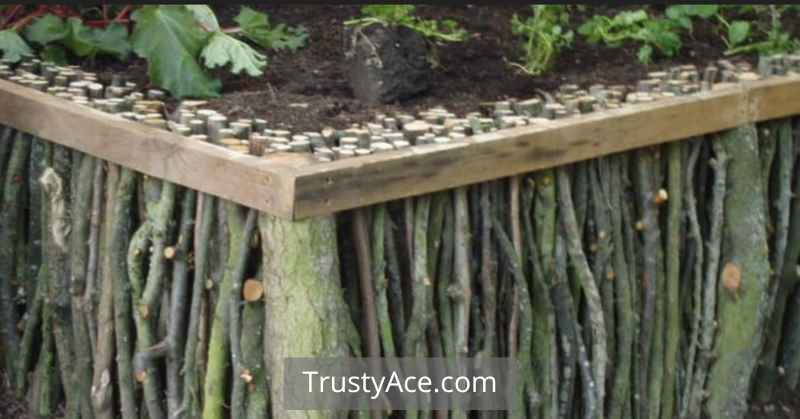 Cheap Landscape Border Ideas With Borders Made With Branches