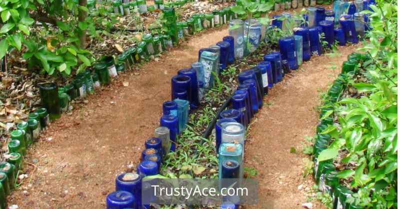 Cheap Bottles Edging Landscape Border Ideas