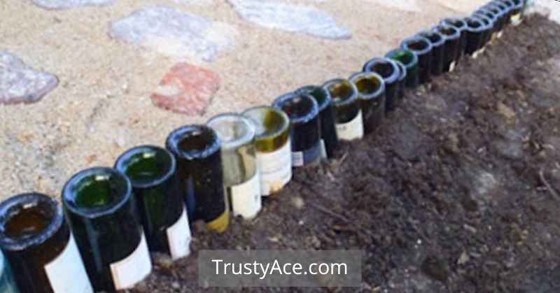 Cheap Landscape Border Ideas With Bottles Edging