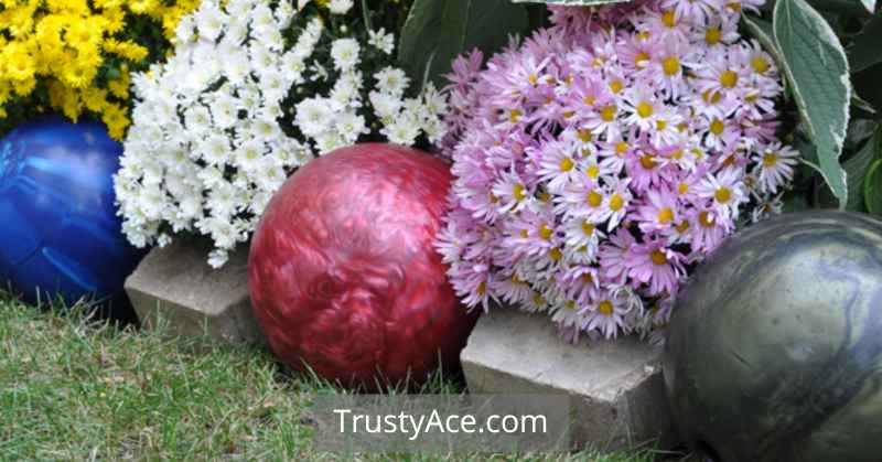 Bowling Ball Border Landscape Border Ideas