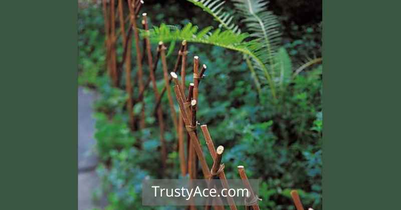 Cheap Landscape Border Ideas With Branch Borders