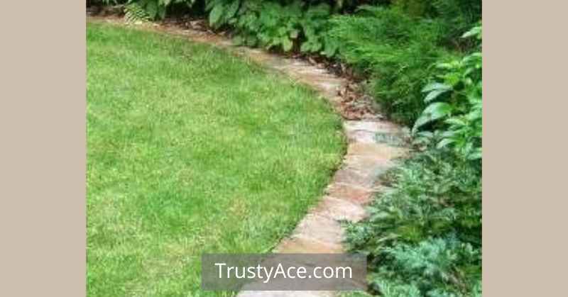 Landscape Border Ideas With Brick Mow-Strip