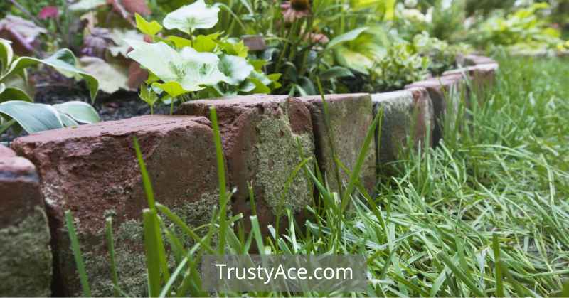 Brick Stone Border Landscape Border Ideas