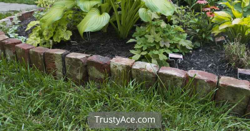 Landscape Border Ideas With Brick Stone