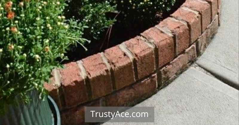 Brick Stone Landscape Border Ideas