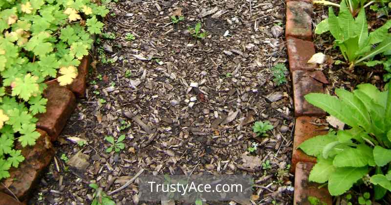 Brick Garden Edging And Brick Stone Edging Landscape Border Ideas