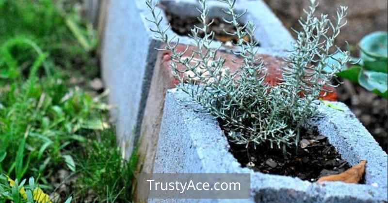 Landscape Border Ideas With Cinder Blocks