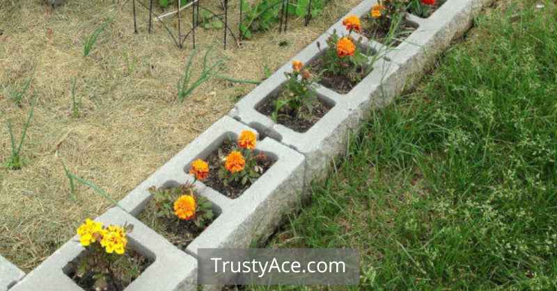 Cinder Blocks Landscape Border Ideas