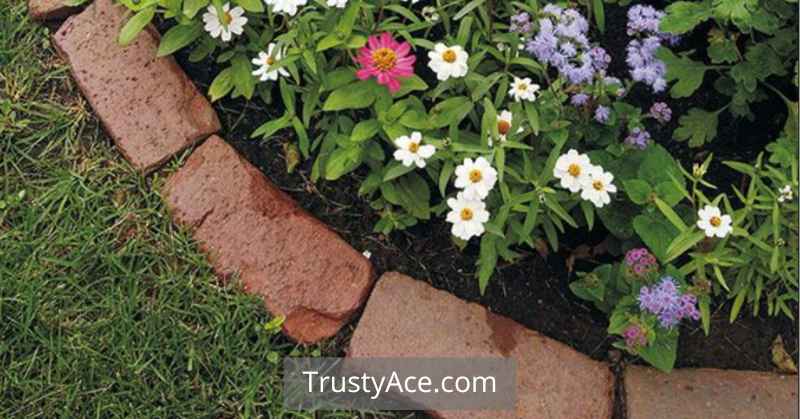 Brick Border Landscape Border Ideas