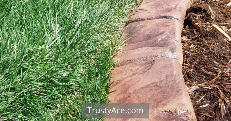 Concrete Edging Landscape Border Ideas