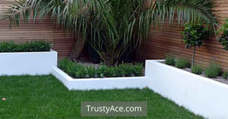 Border Landscaping Ideas With Concrete Edging