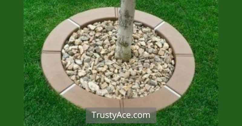 Concrete Edging Landscape Border Ideas