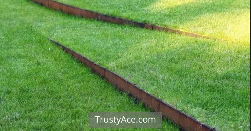 Grass Edge Landscape Border Ideas With Cor-ten Steel Edging