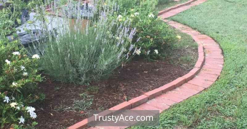 Brick Landscape Border Ideas With Double Brick Garden Edging