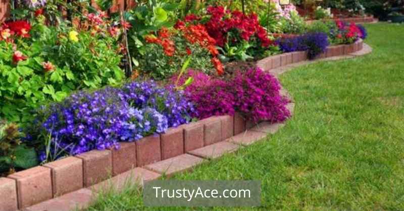 Landscape Border Ideas With Double Brick Edging