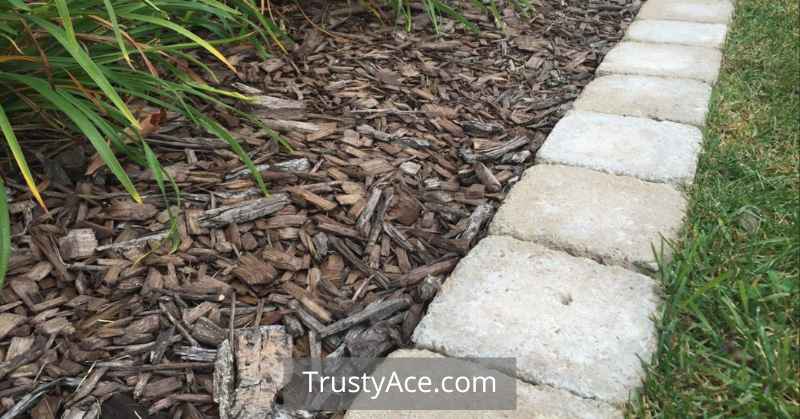 Landscape Border Ideas With Grass And Edging With Pavers