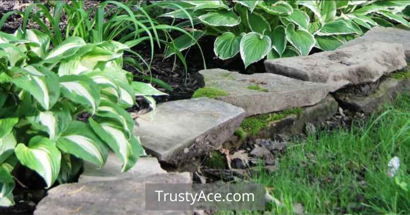 Flagstone Landscape Border Ideas