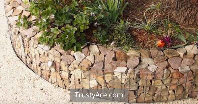 Landscape Border Ideas With Gabion