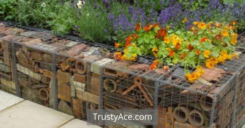 Gabion Landscape Border Ideas