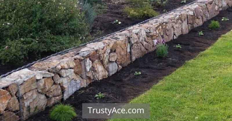 Gabion Edging Landscape Border Ideas For Gardens