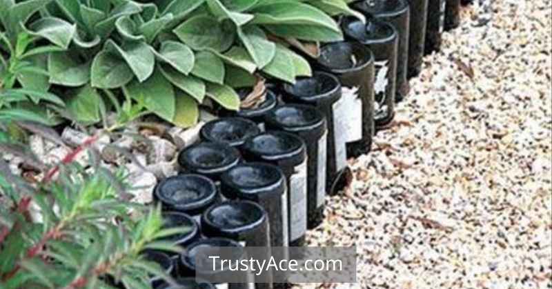 Glass Bottle Edging Landscape Border Ideas