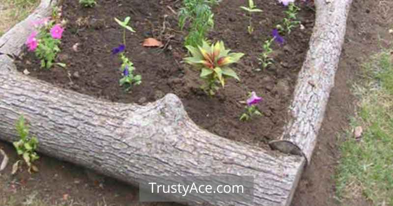 Horizontal Tree Stumps And Tree Stomp Landscape Border Ideas