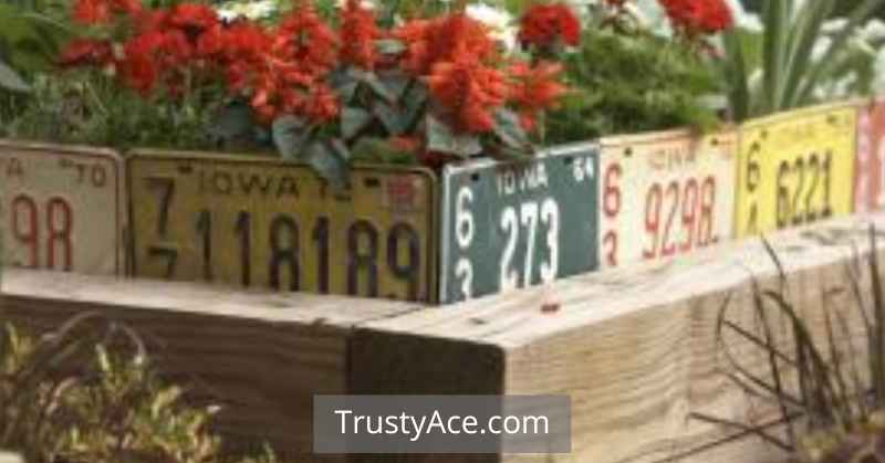 License Plate Borders Landscape Border Ideas