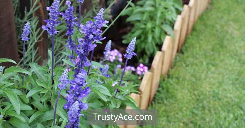 Mini Fence Edging Landscape Border Ideas