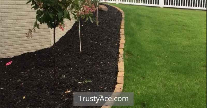 Natural Stone Landscape Border Ideas